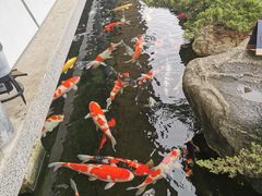 -贵阳高新惠诚食品有限公司