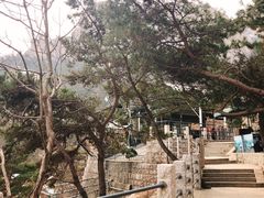 -崂山仰口游览区
