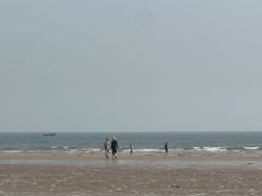 -日照海滨国家森林公园