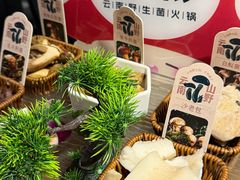 -菌彩云南野生菌火锅(新亚洲店)