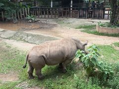 -深圳野生动物园