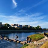 京都·游记