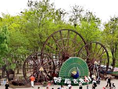 -呀路古热带植物园