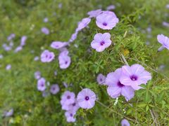 -东山湖温泉度假村