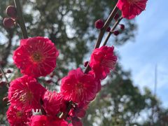 -尚湖风景区