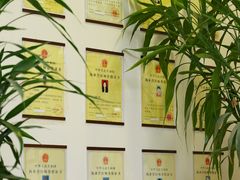 -美联众合动物医院·24h转诊中心