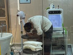 -momokira米努特·德文卷毛猫·棉花面纱犬