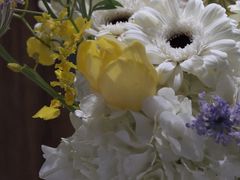 -循礼门鲜花花市(武汉循礼门店)