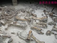 -自贡恐龙博物馆