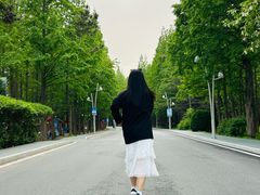 -日照海滨国家森林公园