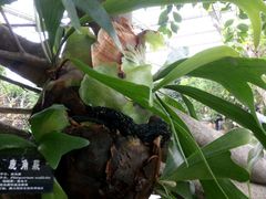 -南通洲际绿博园