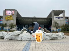 -合肥海洋世界