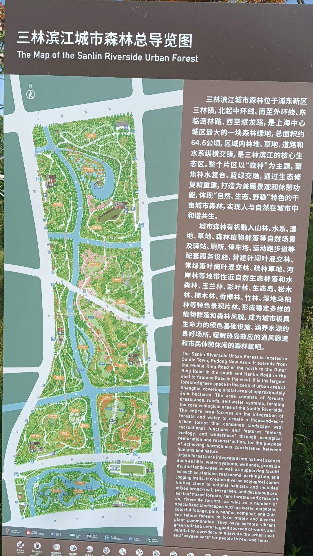 城市尝鲜计划三林滨江城市森林,在徐浦大桥下,紧靠浦江滨江绿地,盏刎