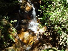 -海南热带雨林国家公园吊罗山景区