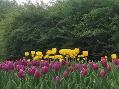 -长春公园(普阳街道)