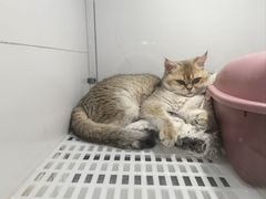 -1013 PET SHOP 宠物商店(近铁城市广场店)