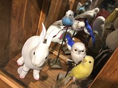 -RGF(巨鹿路店)