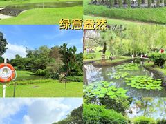 -新加坡总统府
