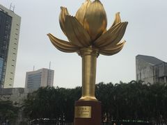 -金莲花广场