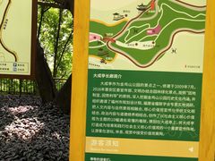 -金鸡山公园