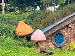 -森波拉奇妙世界