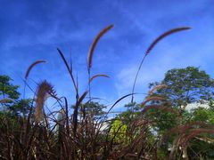 -深圳市人才园(深南大道店)