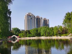 -团结湖公园