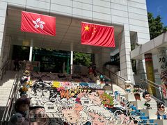 -九龙公园