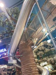 -卡通尼·Safari非洲探索乐园·生日会(金桥国际商业广场店)