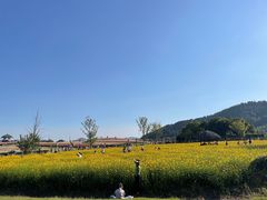 -径山花海
