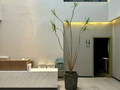 -青梅酒肆PLUS(长白仙岛北路店)