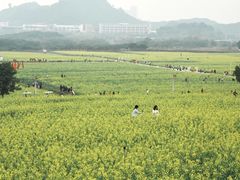 -光明小镇欢乐田园