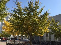 -东北大学(南湖校区)