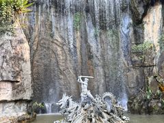 -西双版纳原始森林公园