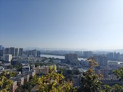 -福道