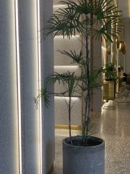 点击看大图 -3AM·S HAIR SALON烫发染发接发