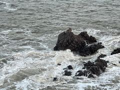 -东沙渔村
