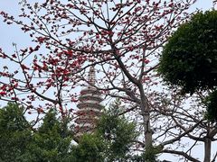 -南普陀寺