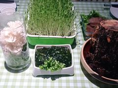 -番食园鲜食火锅(高新店)