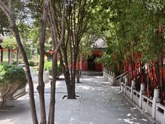 -兴教寺