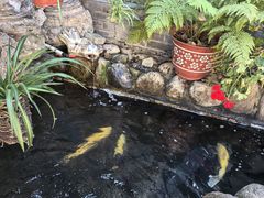 -遥桥古堡