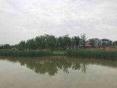 -八大山人梅湖景区