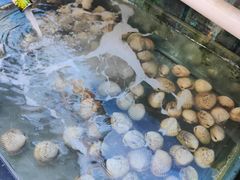 -蓝湾碧波·老字号·疍家非遗海上餐厅