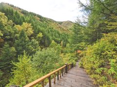 -苏木山森林公园