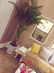 -UP&UP·半永久眉毛眼线机器野生眉