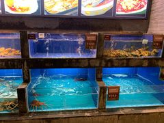 水产区-徐记海鲜(陕西历史博物馆|明德门店)