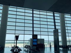 -郑州新郑国际机场-T2航站楼