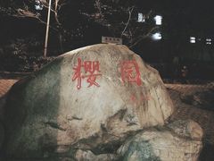 -武汉大学-樱园