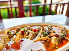 -呼吸森林·生态农庄农家乐私房菜