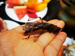 -川骄海鲜自助(亚运村店)